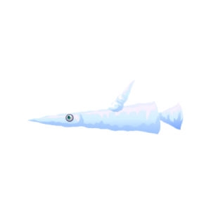 Icicle Fish